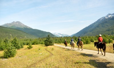 Kungsleden Trail