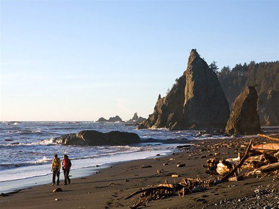 Shi Shi Beach